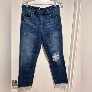 Kut from the Kloth fab ab Rachel mom Jean size 10